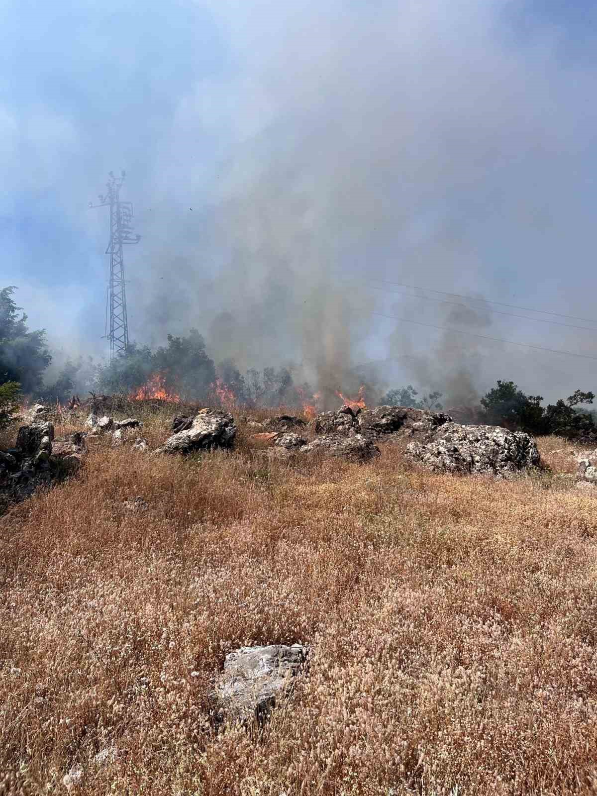 Bingöl’de çıkan orman yangını büyümeden kontrol altına alındı