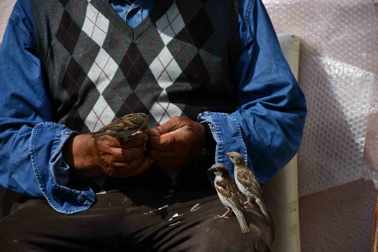 Kırdığı çekirdeklerle kuşlara sofra kuruyor