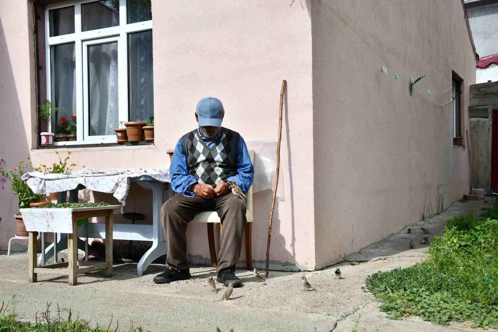 Kırdığı çekirdeklerle kuşlara sofra kuruyor