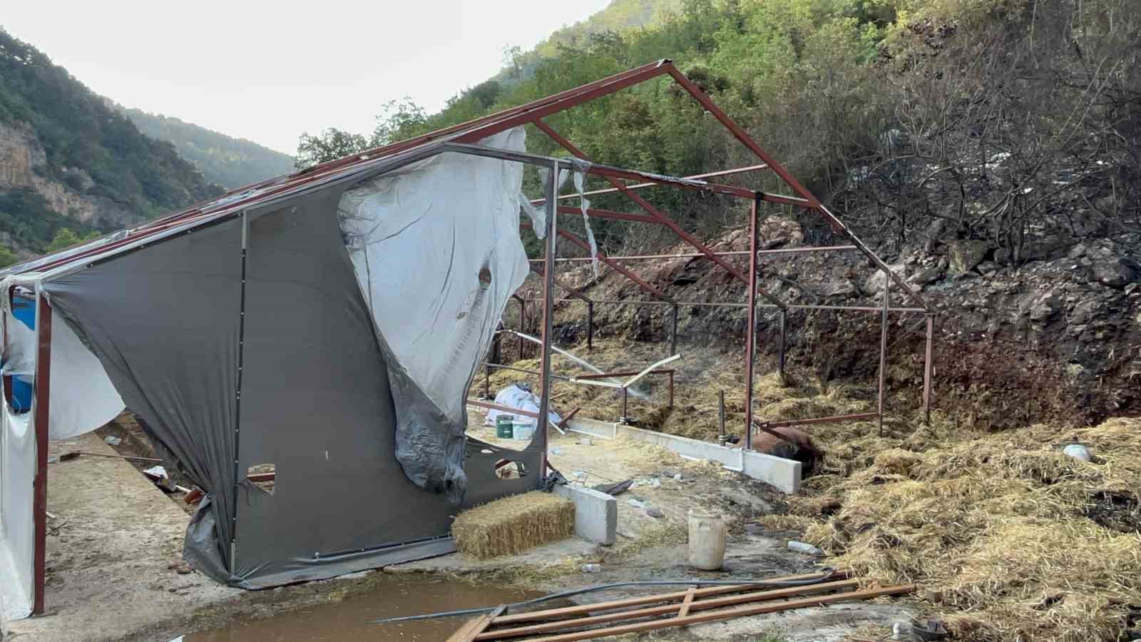 Bursa’daki orman yangınında 1 kişi gözaltına alındı