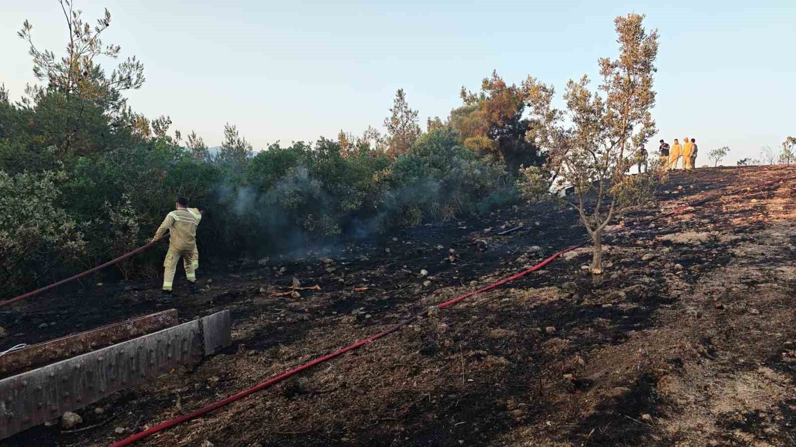 Bilecik sınırına yaklaşan alevler kontrol altına alındı