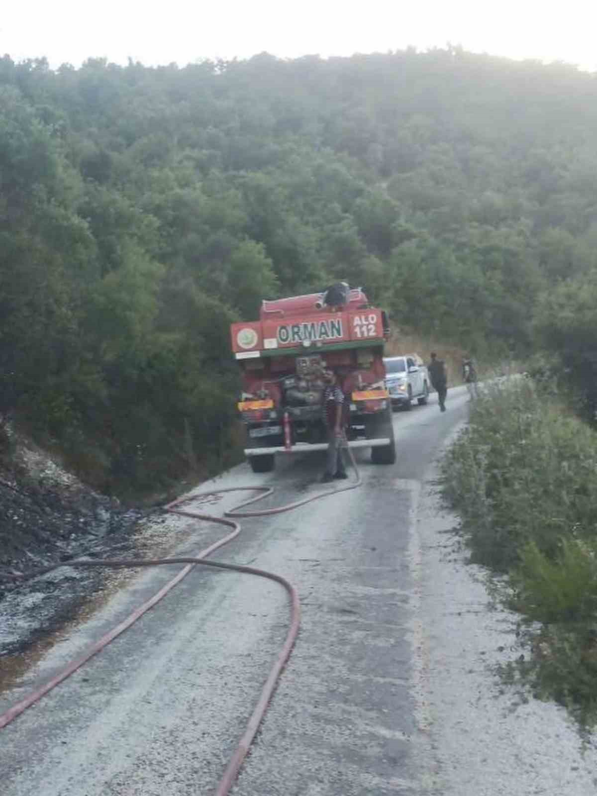 Yayladağı’nda ormanlık alanda çıkan yangın kontrol altına alındı