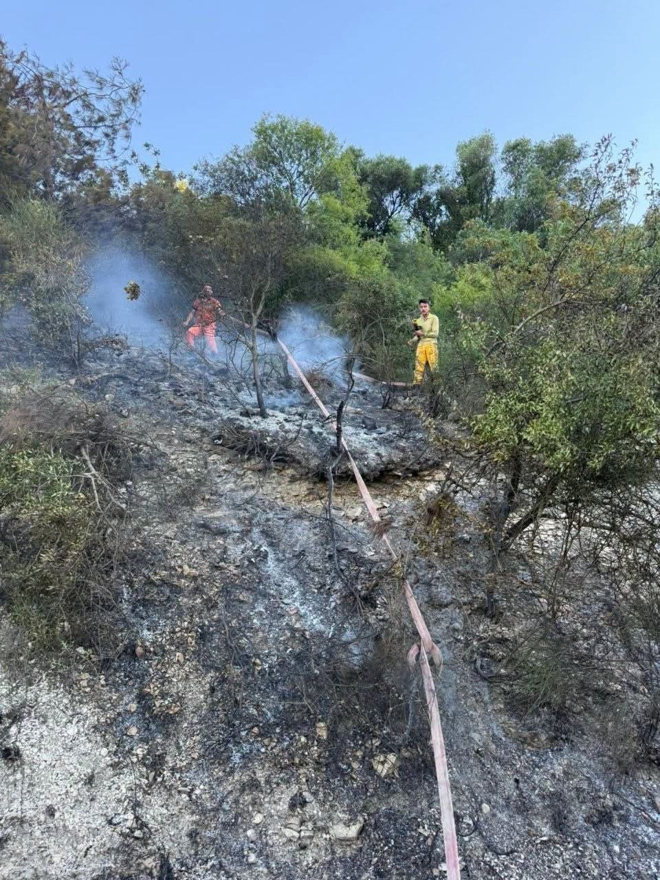 Yayladağı’nda ormanlık alanda çıkan yangın kontrol altına alındı