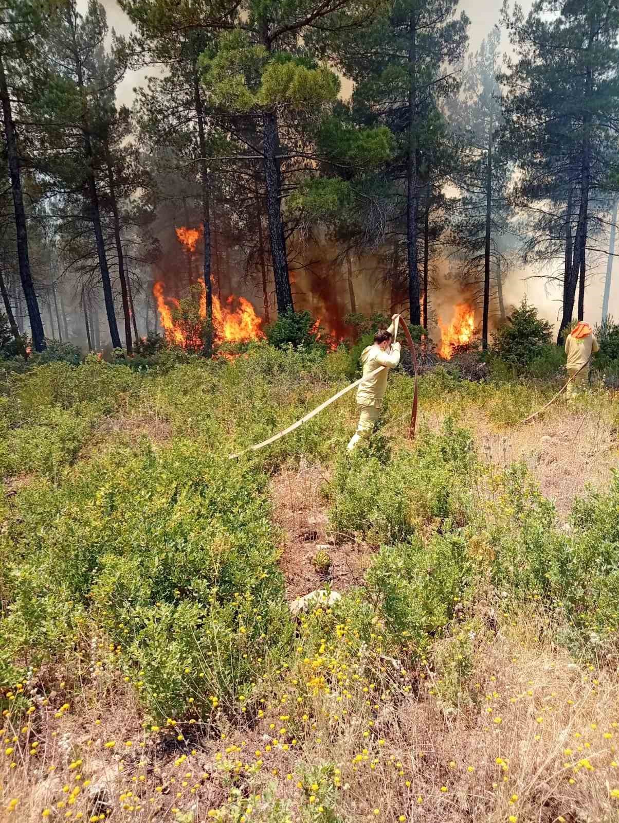 Orhaneli’de orman yangını
