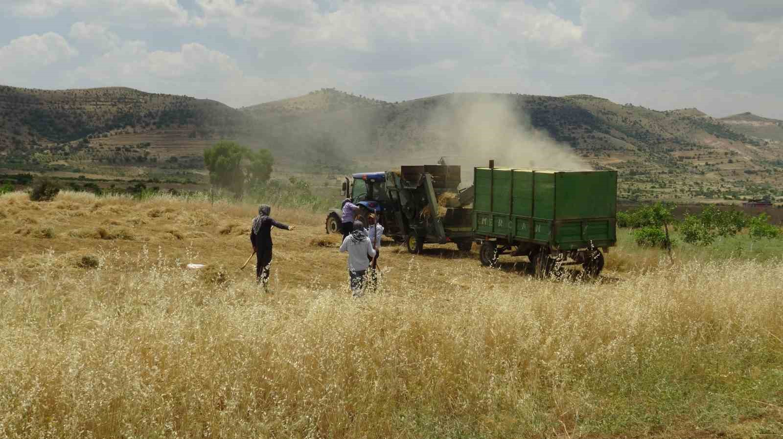 Gercüş’te kavurucu sıcakta ’oyun havalı’ hasat