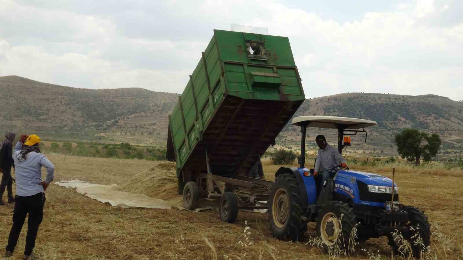 Gercüş’te kavurucu sıcakta ’oyun havalı’ hasat