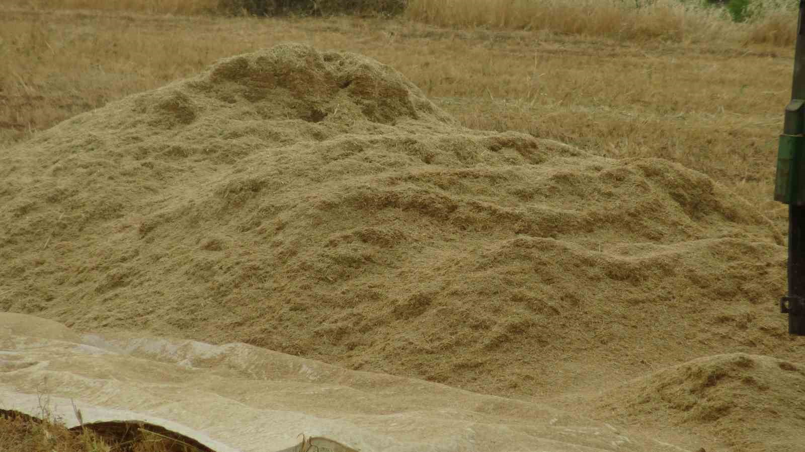 Gercüş’te kavurucu sıcakta ’oyun havalı’ hasat