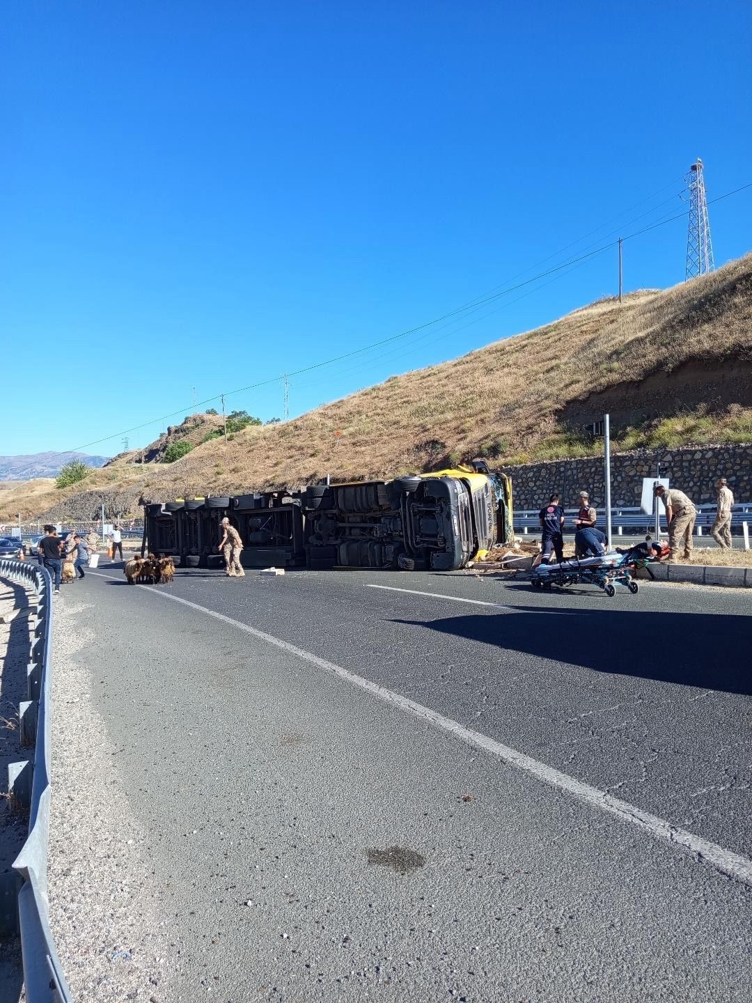 Elazığ’da hayvan yüklü tır devrildi: 2 yaralı