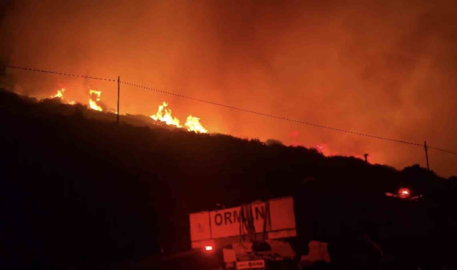 İzmir’de makilik alanda yangın