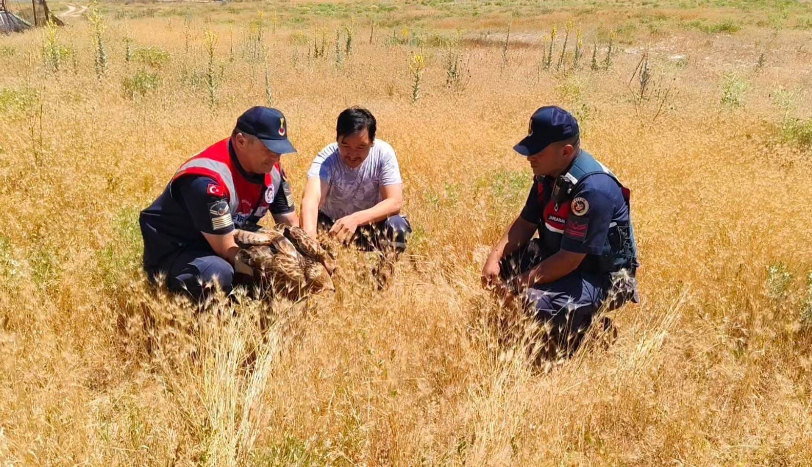 Yozgat’ta yaralı bulunan şahin koruma altına alındı