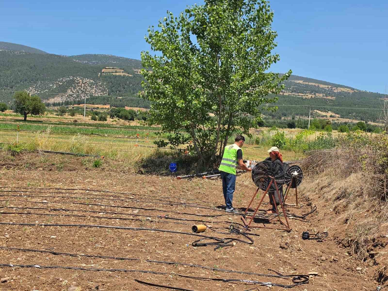 Denizli Büyükşehir tarlalara soğuk su ve limonata ulaştırdı