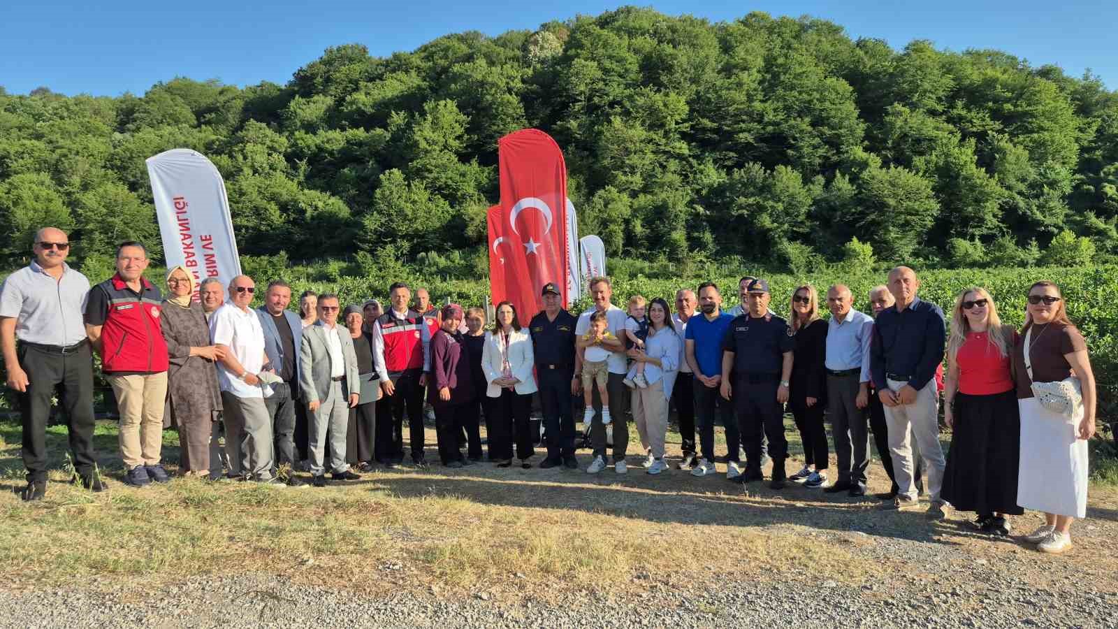 Yaban mersini meyvesinde yüksek rekolte