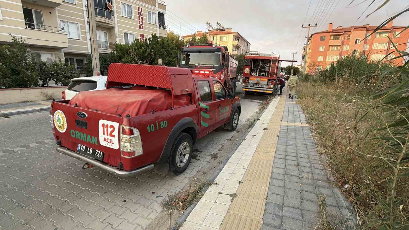 Edremit’te sazlık alanda yangın