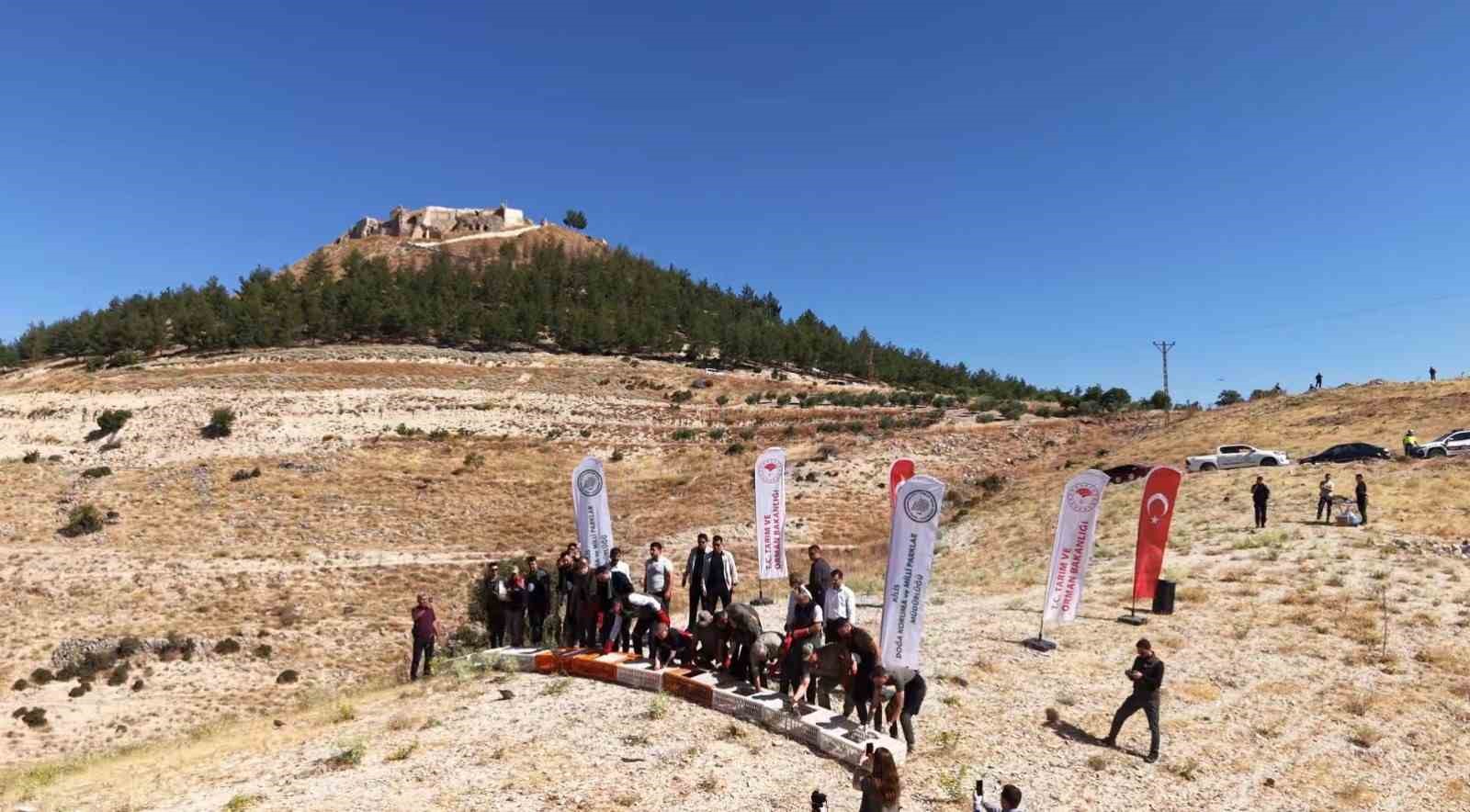 Ravanda Kalesi’nde doğa yeniden kanatlandı