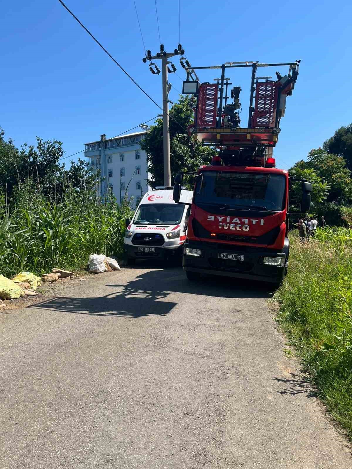 Rize’de ıhlamur toplarken elektrik akımına kapılan vatandaş hayatını kaybetti