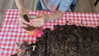 Muş’tan dünyaya uzanan eğitim başarısı: İki uluslararası eTwinning projesi tamamlandı