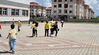 Muş’tan dünyaya uzanan eğitim başarısı: İki uluslararası eTwinning projesi tamamlandı