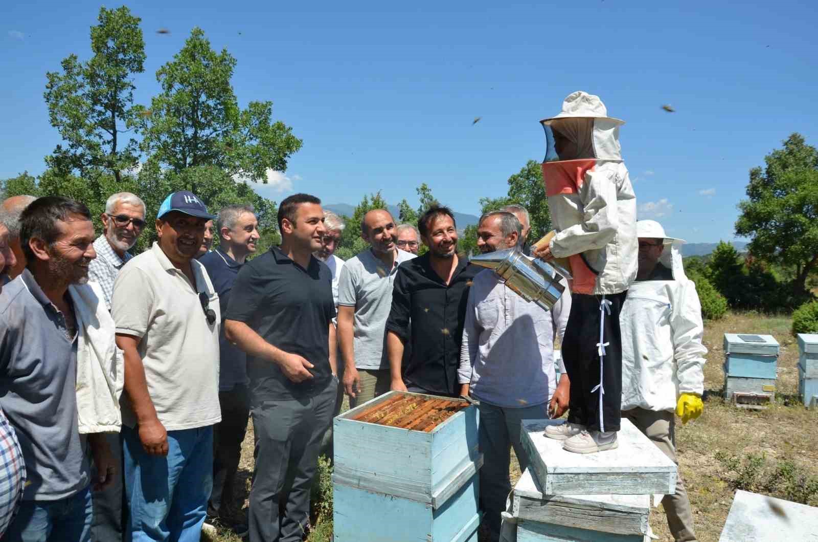 Emet Kaymakamı Başkapan, arıcılarla bir araya geldi