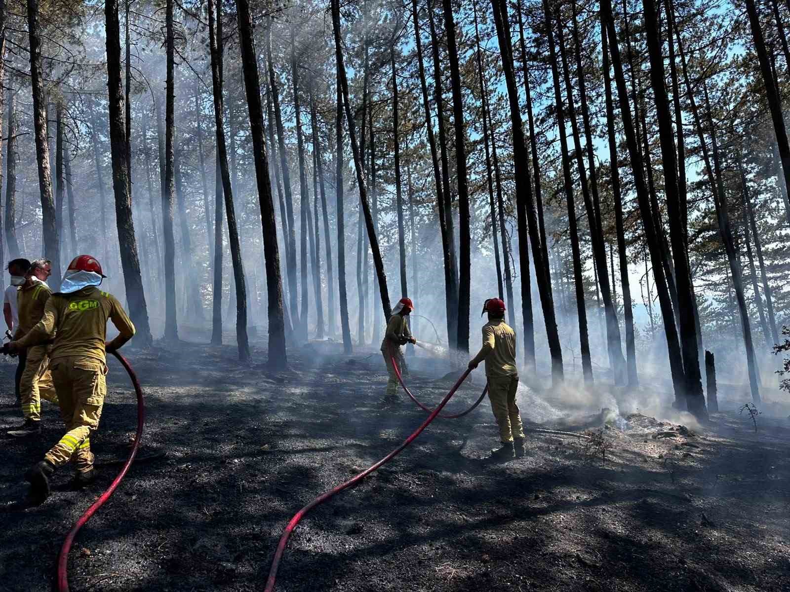 Kastamonu’da orman yangını: Alevlere havadan ve karadan müdahale edildi