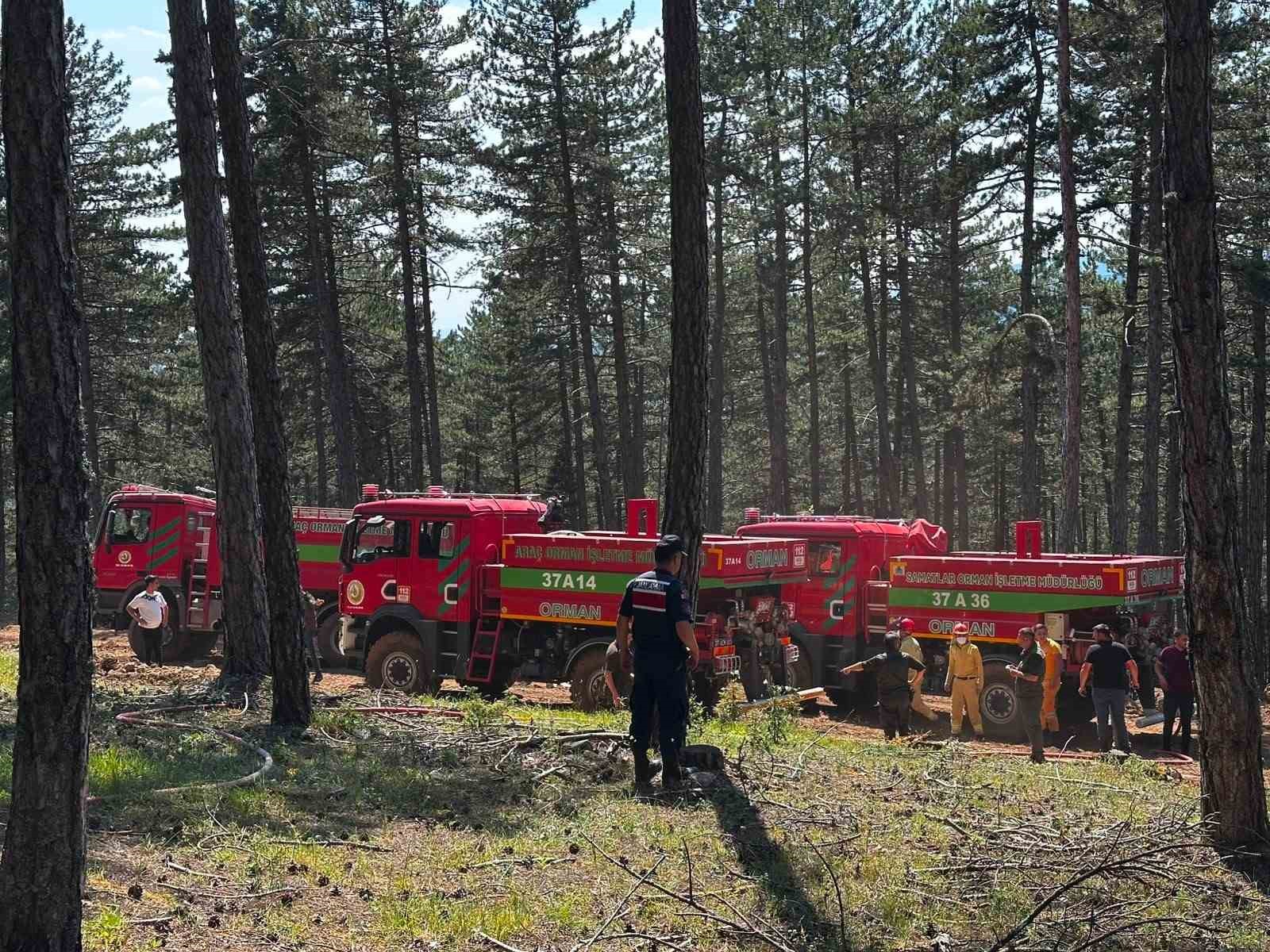 Kastamonu’da orman yangını: Alevlere havadan ve karadan müdahale edildi