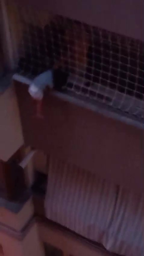 Balkon filesinde asılı kalan çocuğunu düşmesin diye dakikalarca tuttu