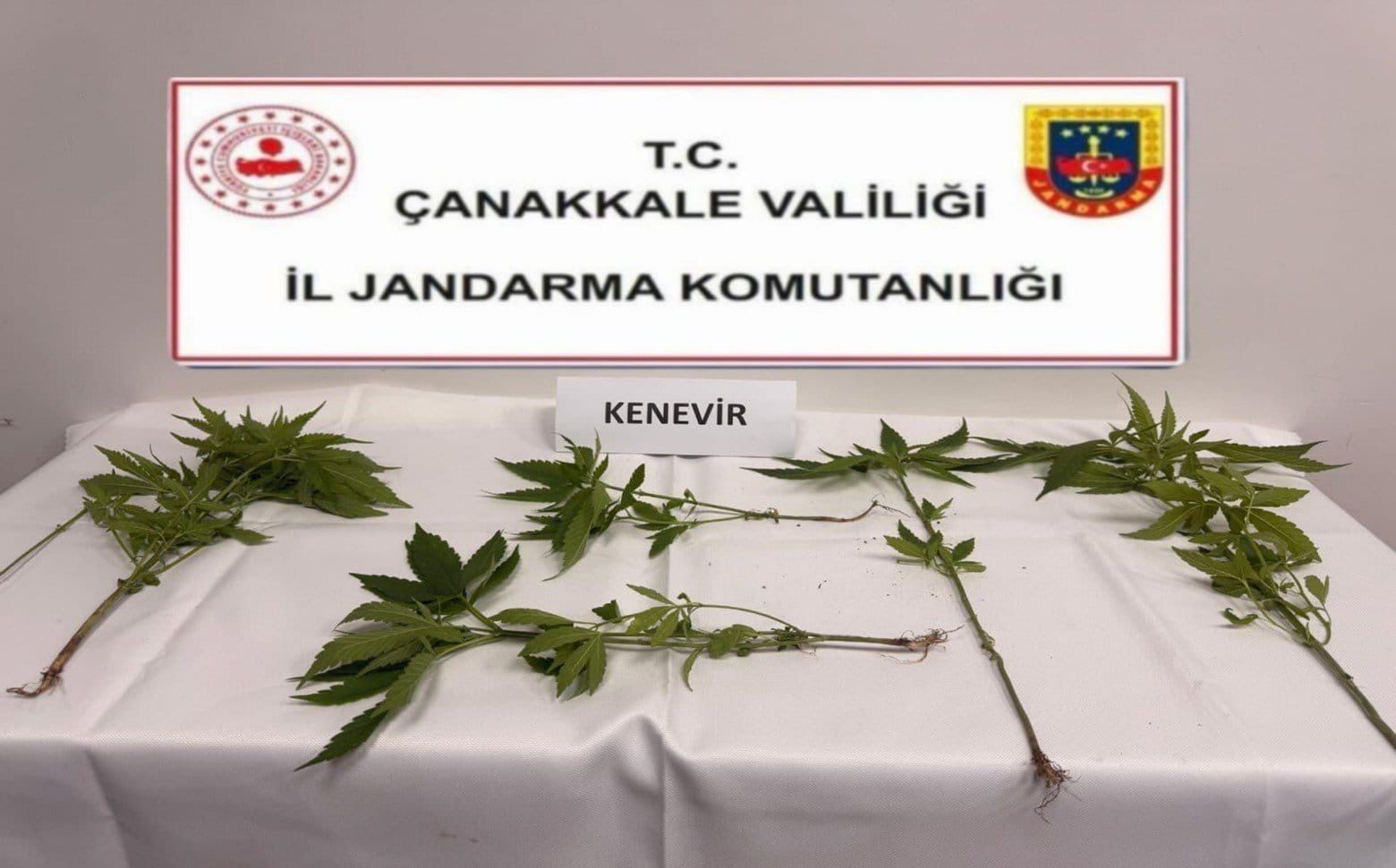 Çanakkale ve 5 ilçede uyuşturucu operasyonlarında 15 gözaltı