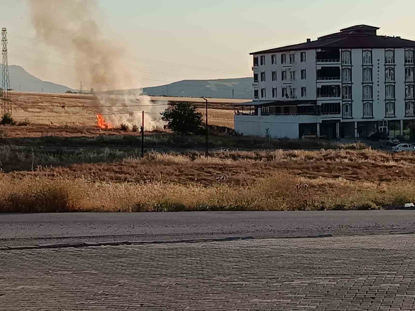 Elazığ’da buğday tarlasında yangın