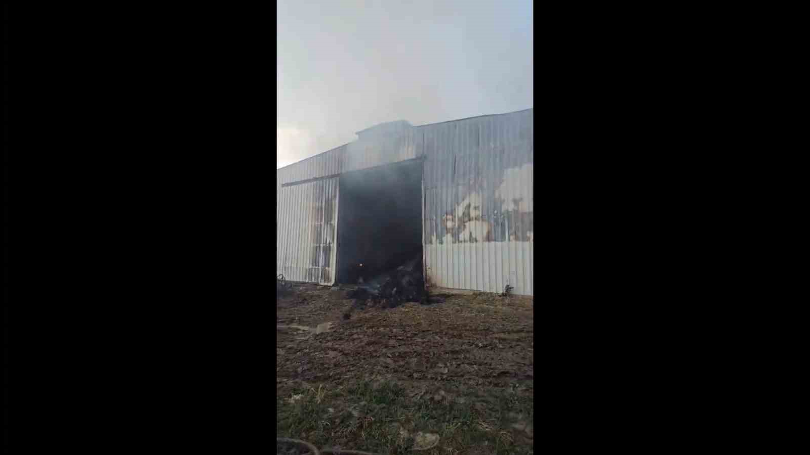 İpsala’da ahıra yıldırım düştü: 3 büyükbaş hayvan telef oldu, çiftlik sahibi yaralandı