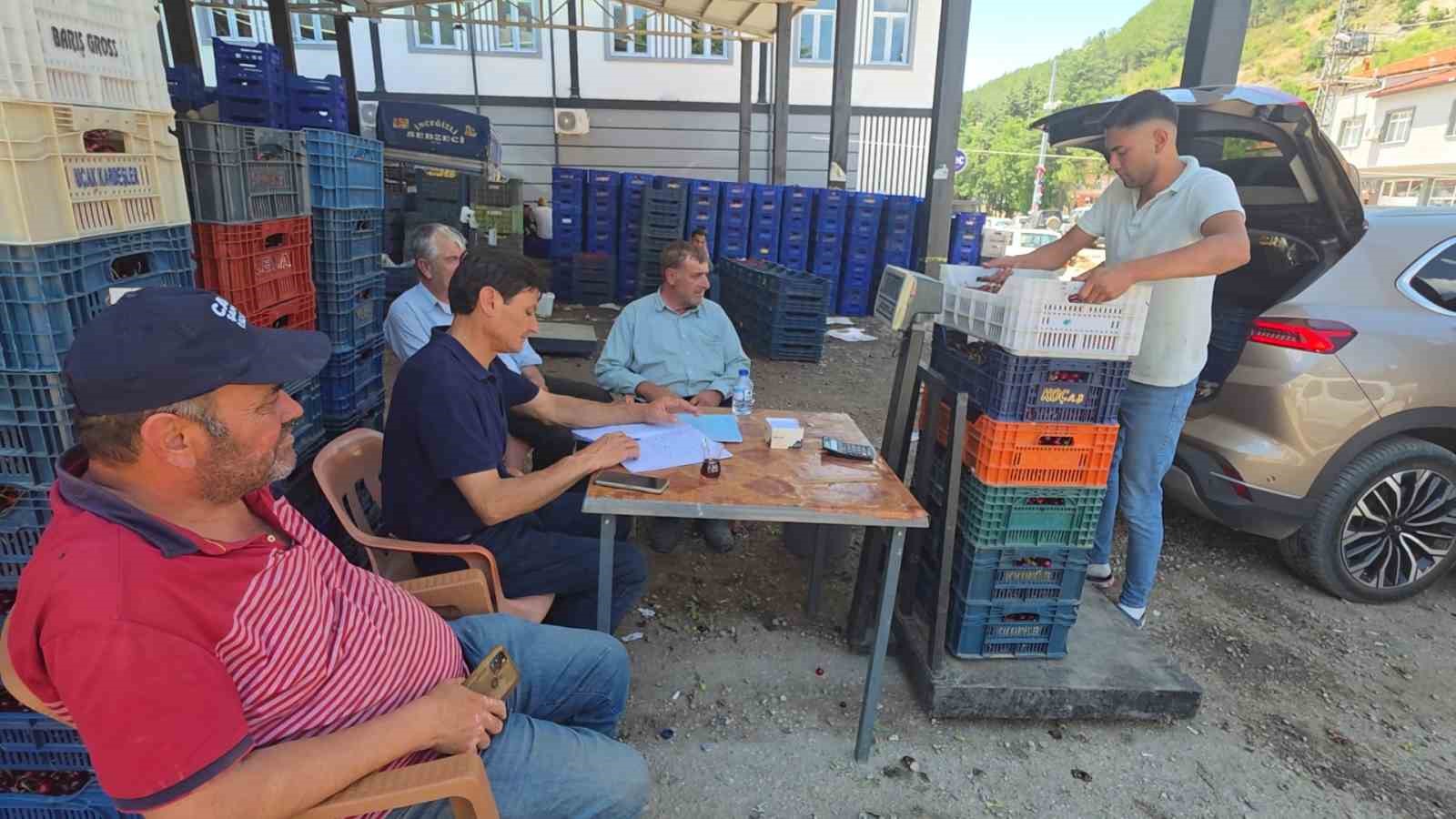 Kütahya Şaphane’de kiraz hasadı başladı