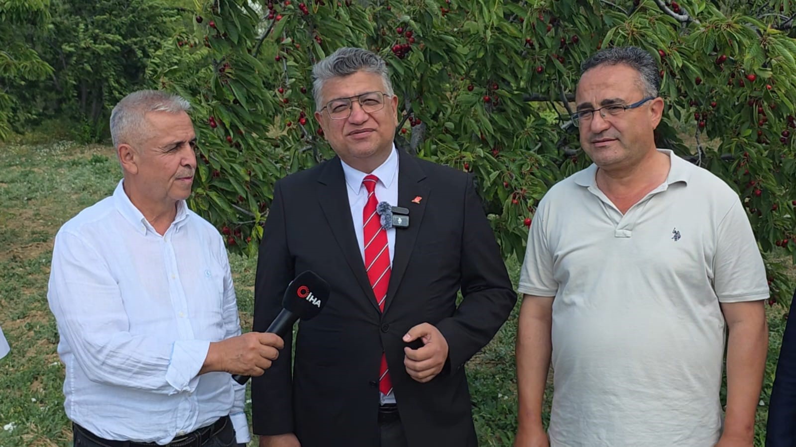 Kütahya Şaphane’de kiraz hasadı başladı