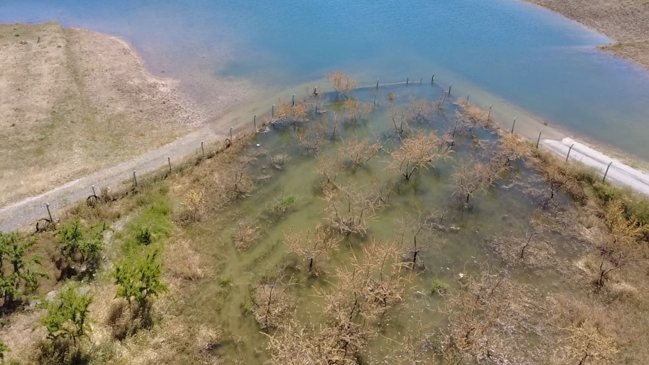 Yozgat’ta badem ağaçları sular altında kaldı