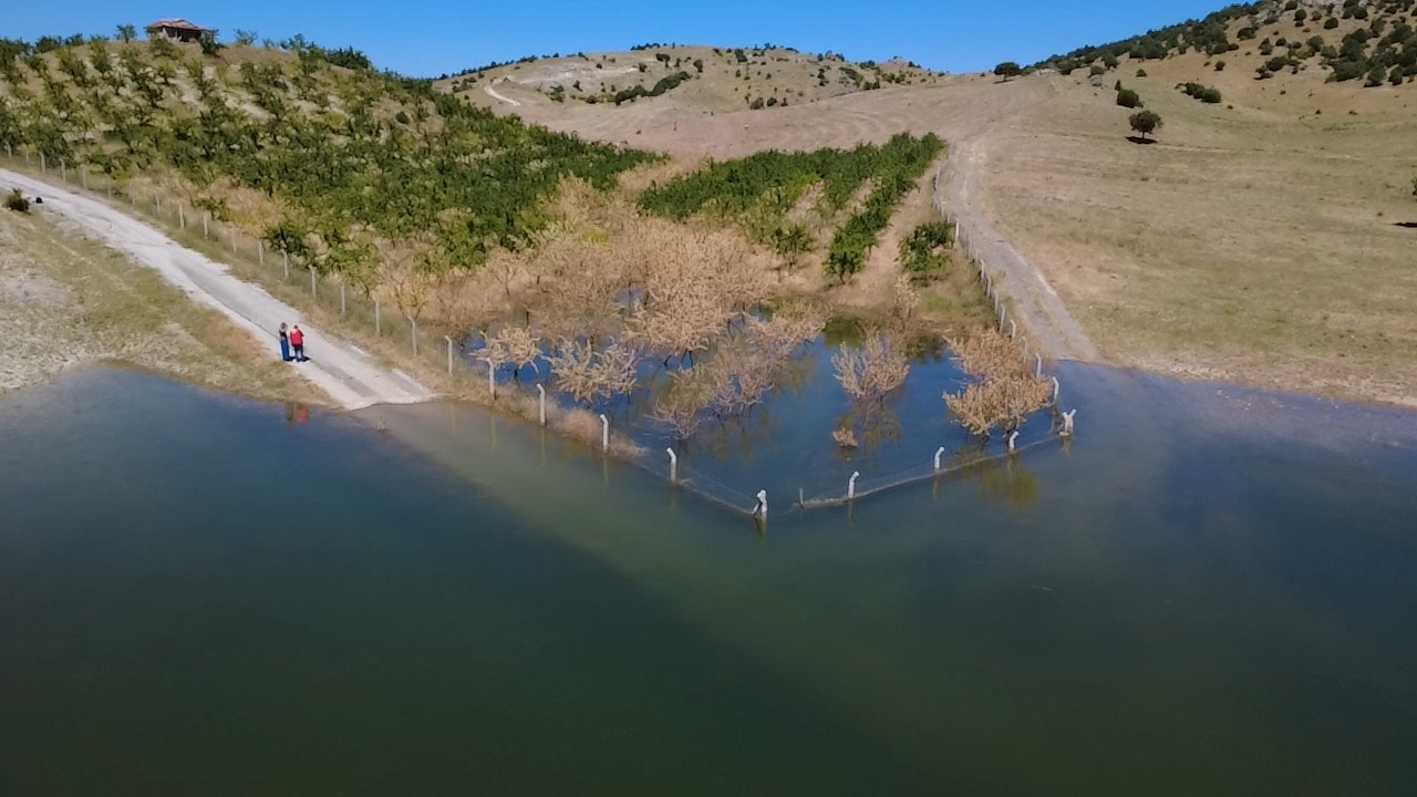 Yozgat’ta badem ağaçları sular altında kaldı