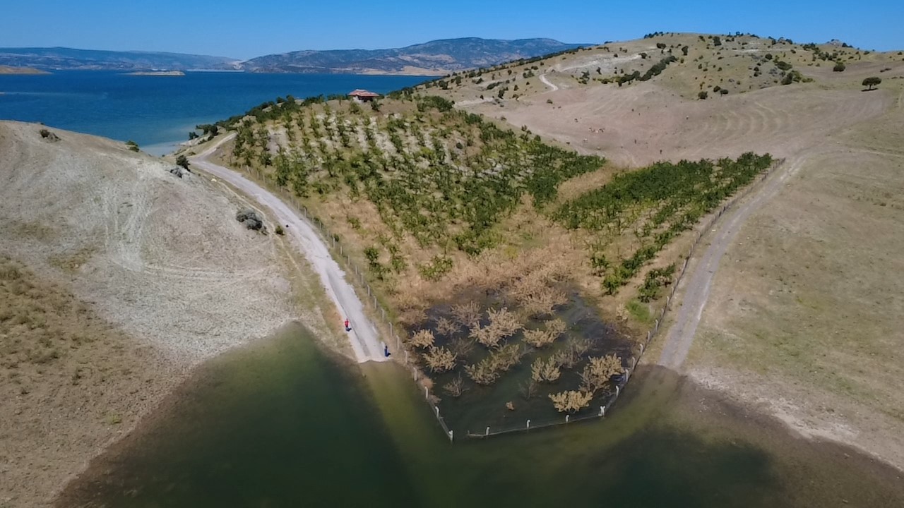Yozgat’ta badem ağaçları sular altında kaldı