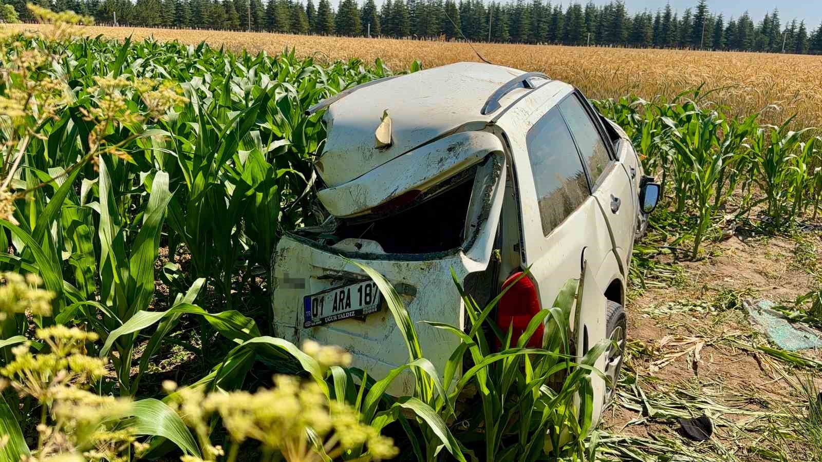 Kargo aracı otomobille çarpıştı: 5 yaralı