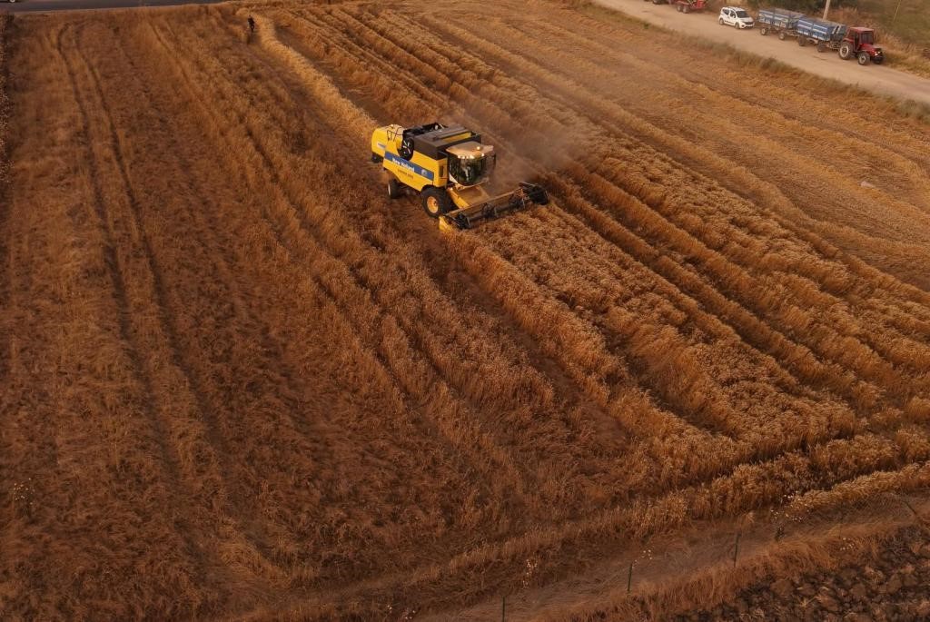 Tekirdağ’da 10’uncu Hasat Bayramı kutlandı