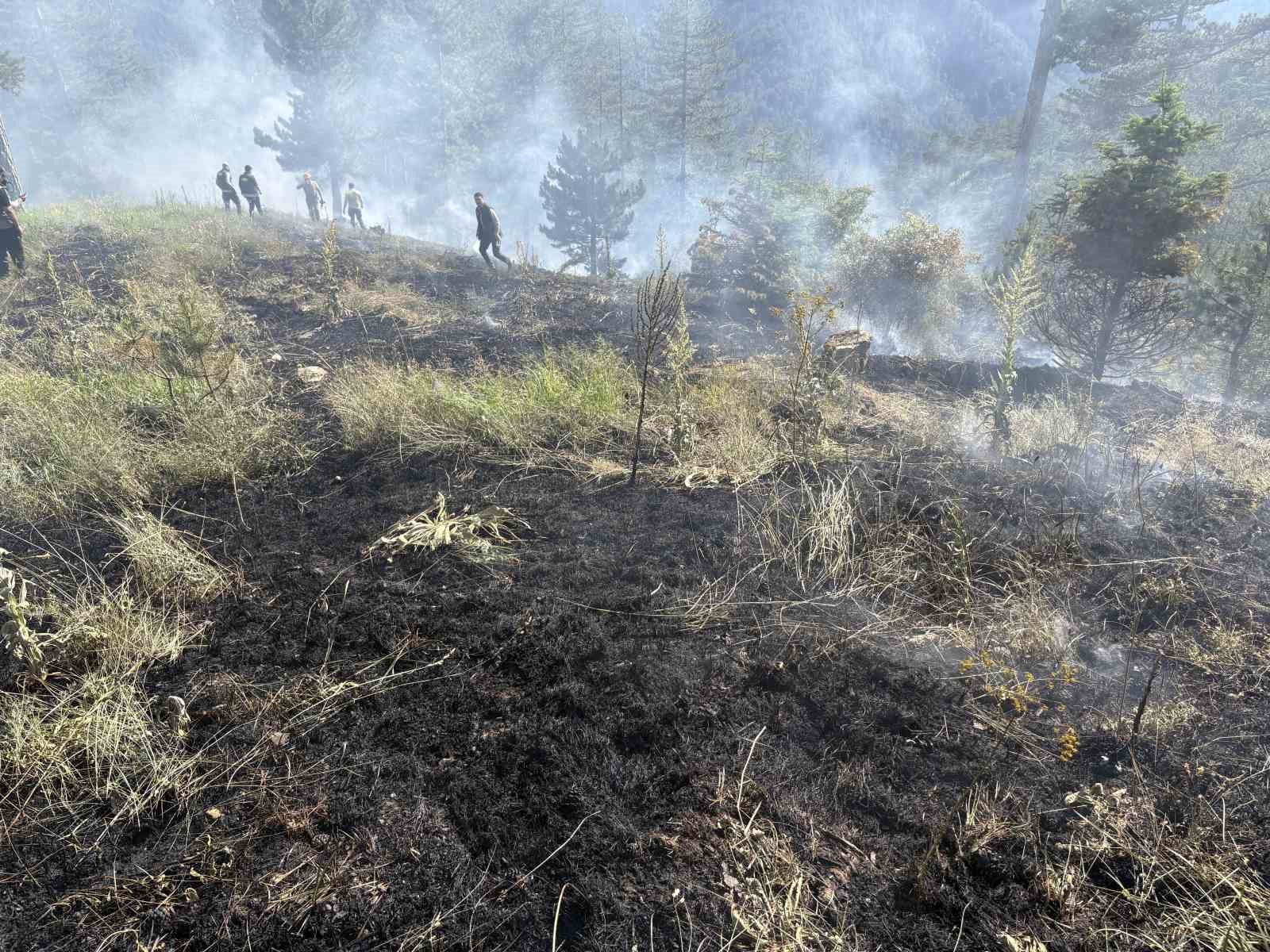 Kastamonu’da çıkan orman yangınında 7,5 dönüm alan zarar gördü