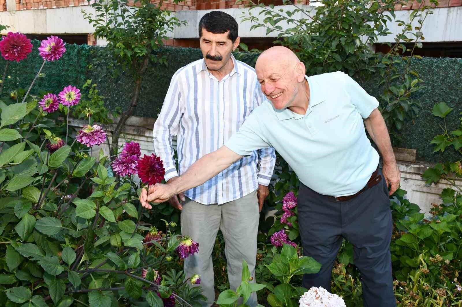 Emekliliğini renk renk çiçek bahçesine dönüştürdü
