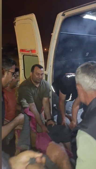 Minibüsün çarptığı başıboş at "Haybulans" ile tedaviye alındı