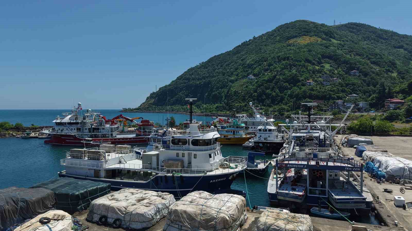 Balıkçıların yeni sezonda umudu palamut