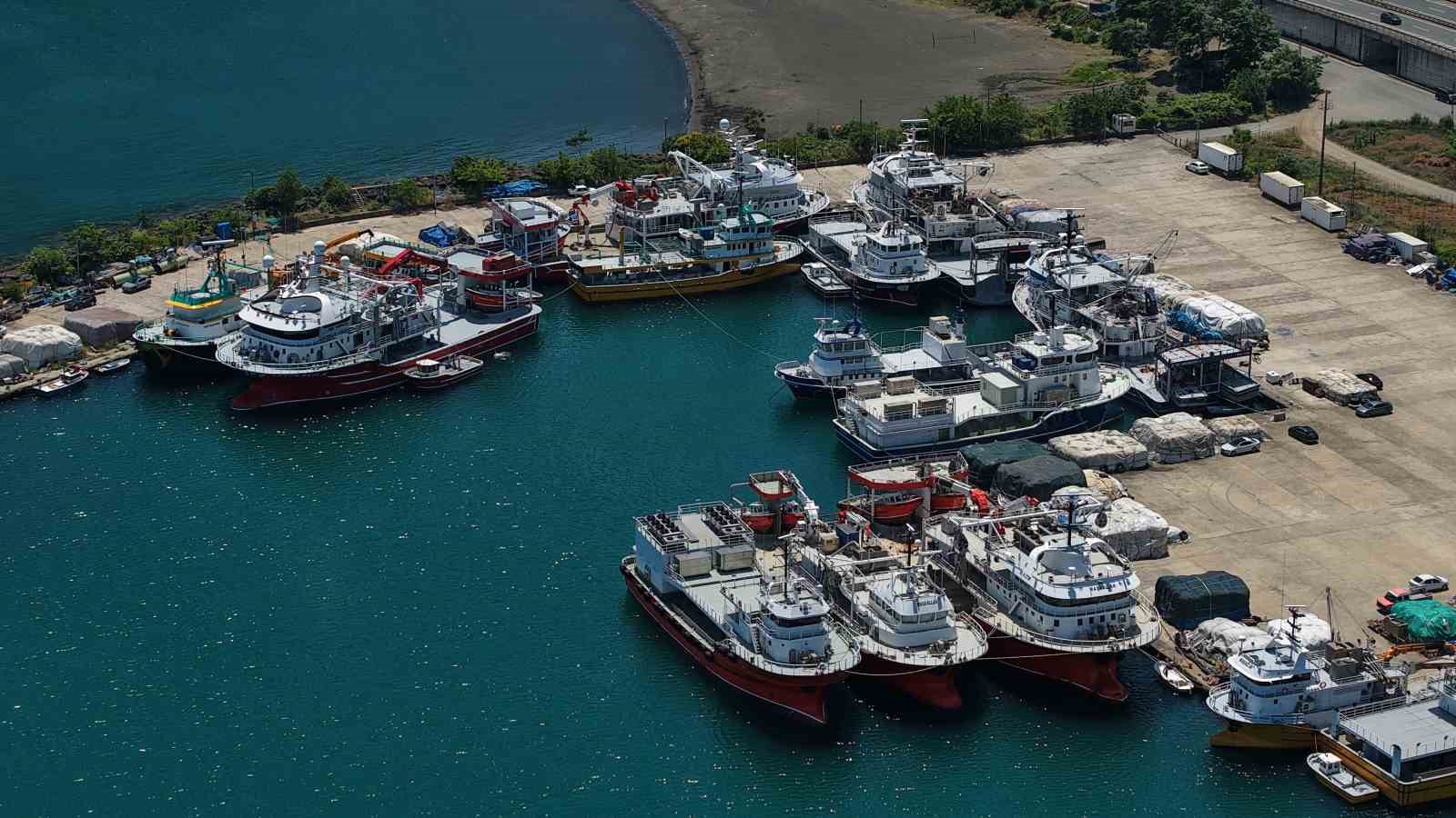 Balıkçıların yeni sezonda umudu palamut