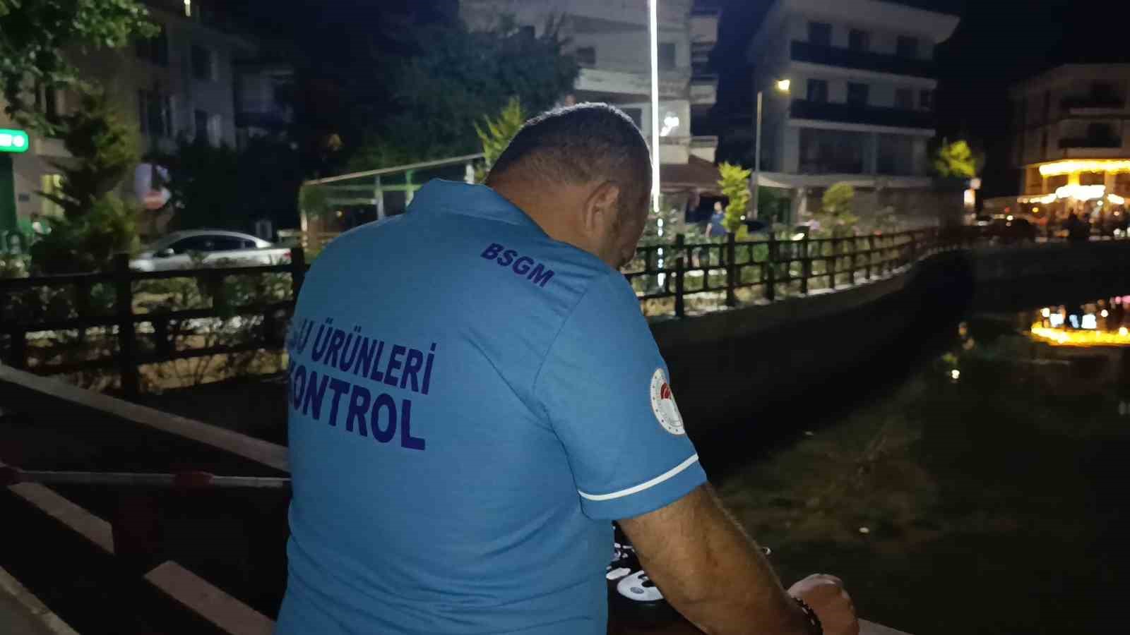 Değirmenaltı Deresi’nde balık ölümleri inceleniyor: Kurumlar seferber oldu