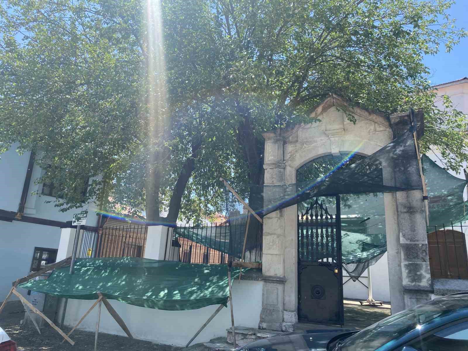 Dökülen dutlar için ağlı önlem