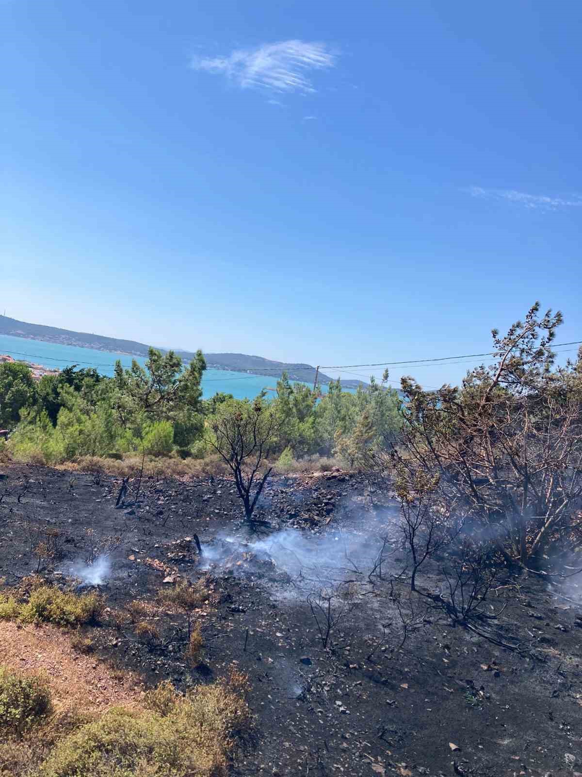 Cunda Adası’nda orman yangını