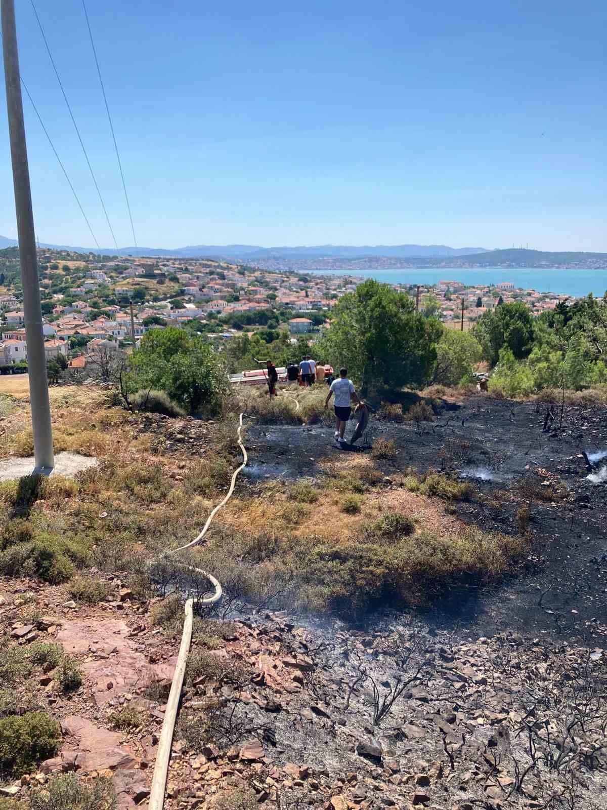 Cunda Adası’nda orman yangını
