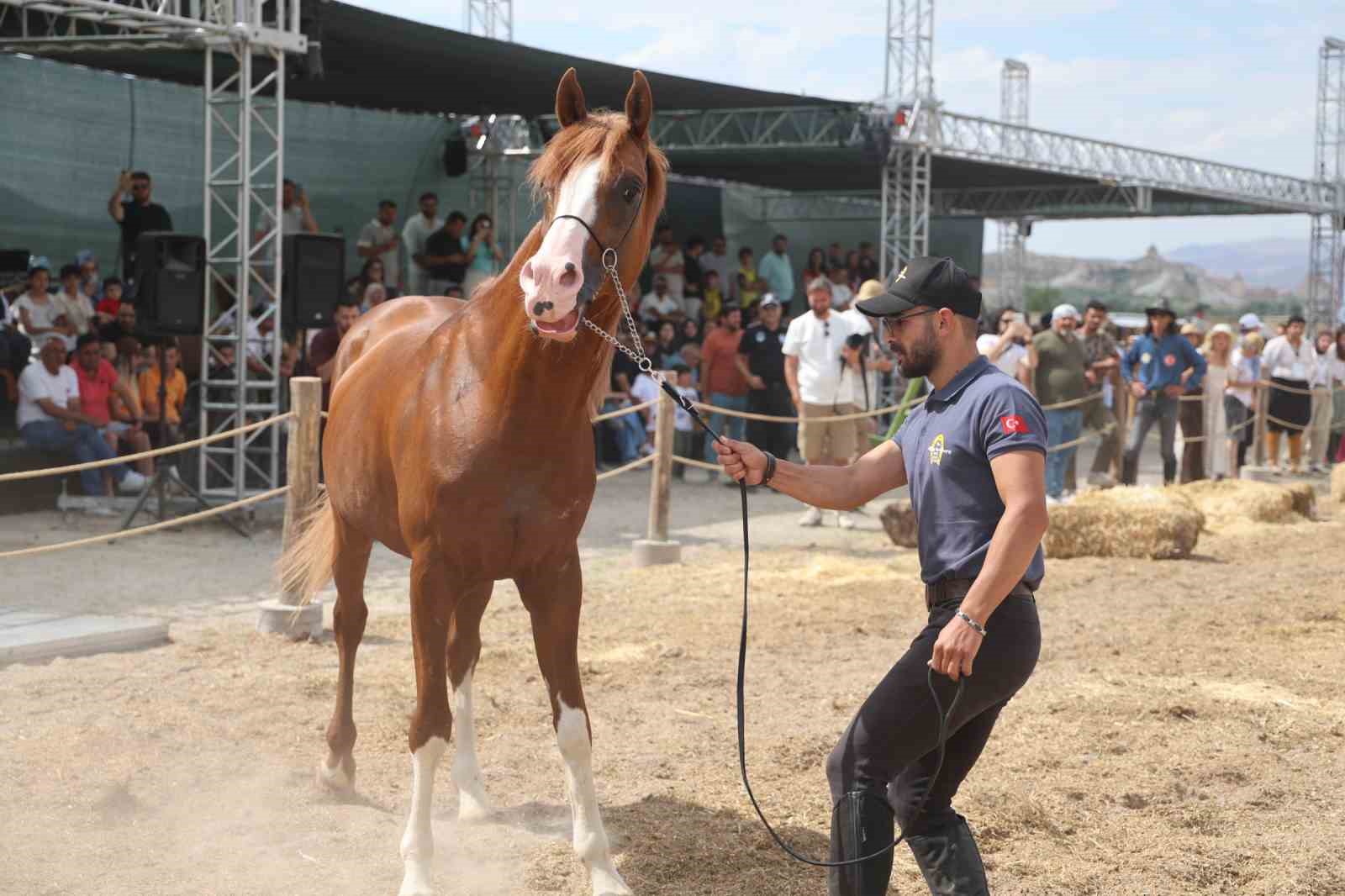 Kapadokya’da güzellikleriyle büyüleyen atlar podyuma çıktı
