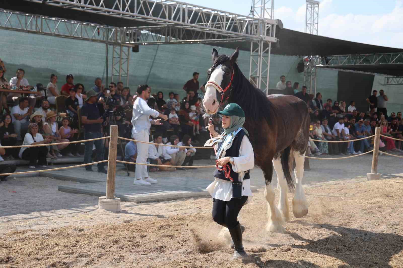 Kapadokya’da güzellikleriyle büyüleyen atlar podyuma çıktı
