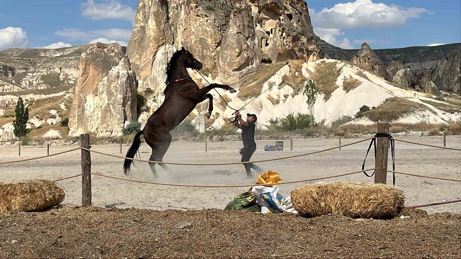 Kapadokya’da güzellikleriyle büyüleyen atlar podyuma çıktı