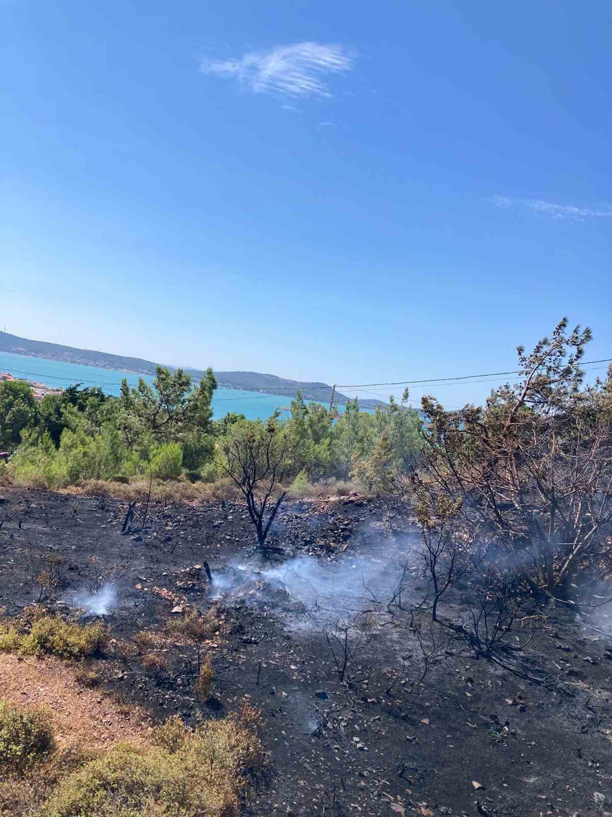 Balıkesir’deki anız yangını kontrol altına alındı