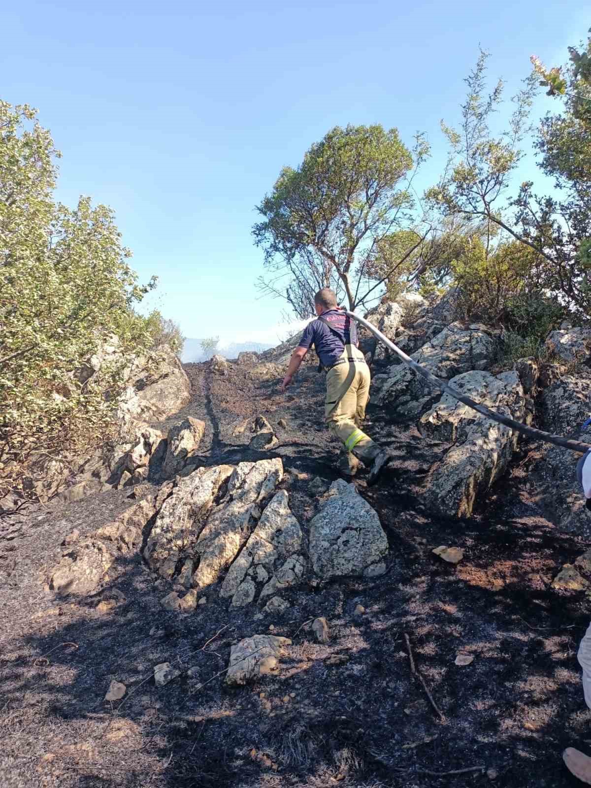Manyas’ta çıkan anız ve orman yangını söndürüldü