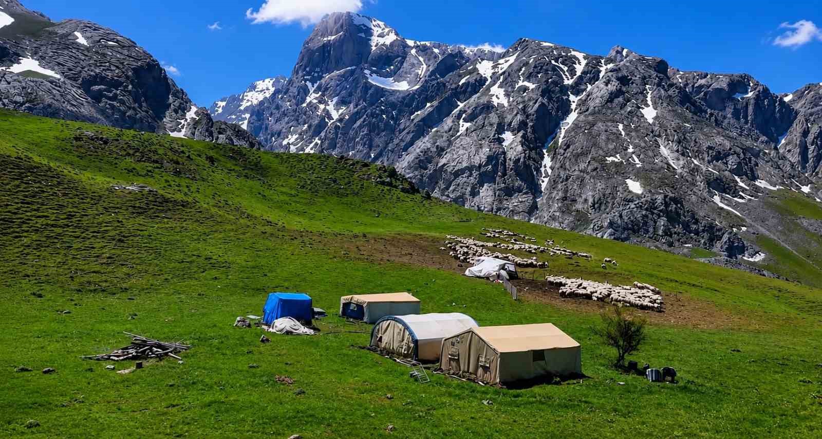 Zorlu yayla şartlarında tescilli lezzet üretiliyor